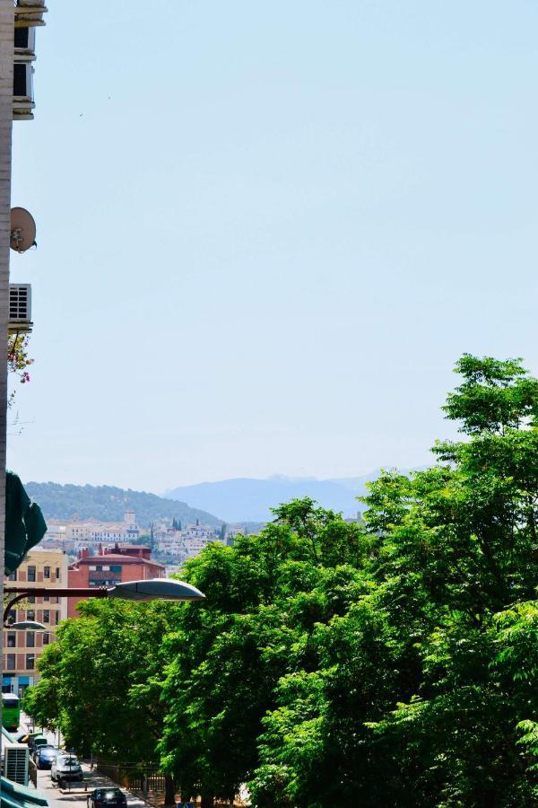 Faisán 20 *